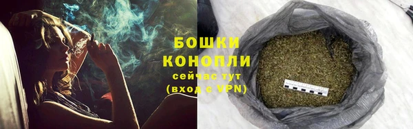 мдпв Гусев