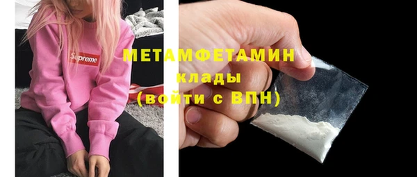 мдпв Гусев