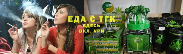 мдпв Гусев