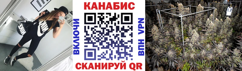 Шишки марихуана сатива Дегтярск